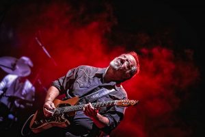 Guitarrista de los Travellin Brothers tocando